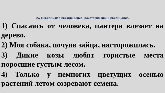 Перепишите предложения. Спасаясь от человека пантера влезает на дерево деепричастный оборот. Правило переписывание предложение. Спасаясь от человека пантера влезает на дерево. Перепишите расставляя знаки препинания лошади сани деревья.