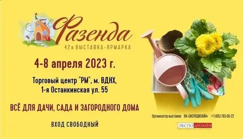 Фазенда 2024