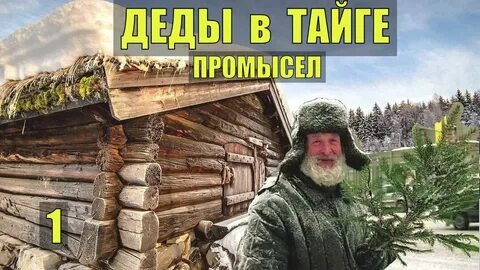Случай в тайге