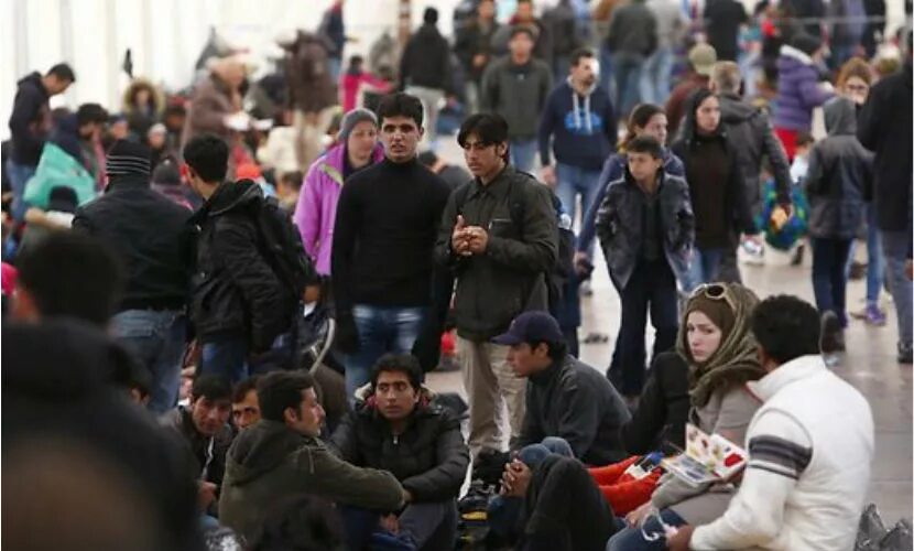 Мигранты бегут из россии 2024. Мигранты в Дании. Датчане эмигранты. Беженцы в Дании.