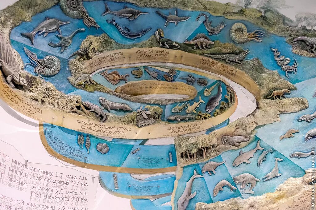 Океанариум схема. Приморский океанариум схема. Приморский океанариум карта. Океанариум Владивосток схема. Океанариум Владивосток карта территории.