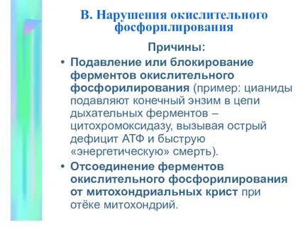 Лизосомы окислительное фосфорилирование
