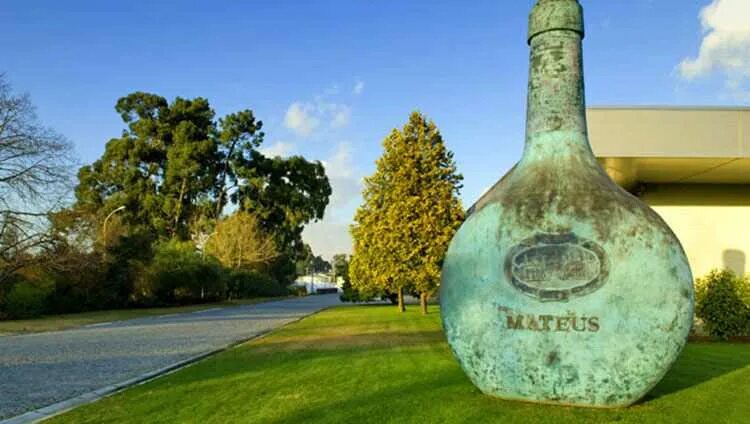 Матеуш. Вино португалия mateus. вино mateus матеуш. матеус португальское вино. вино португалия матеуш.
