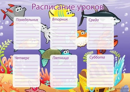 Как красиво оформить расписание уроков