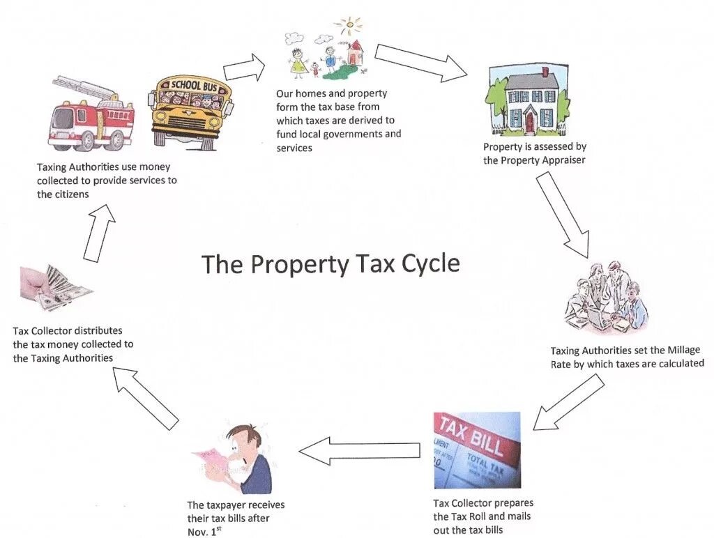 Tax Collector задание. Property Tax. Property value added Tax. New property Cycle.