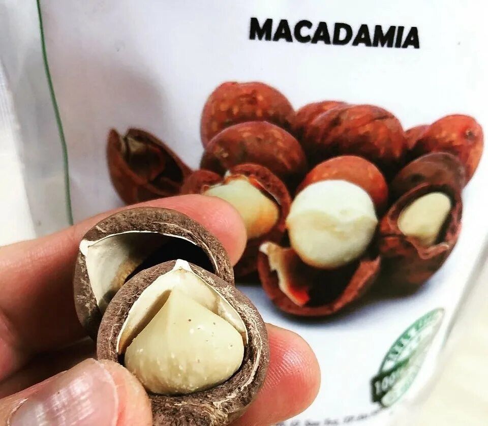 Орех макадамия польза и вред. Макадамия орех полезные. Макадамия витамины и минералы. Макадамия орех полезные для женщин. Чем полезен орех макадамия.