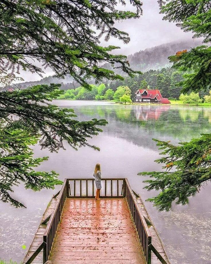 Amazing scene. Табиат манзараси. Урмон манзаралари. Корея манзаралари. Сокин Манзара.