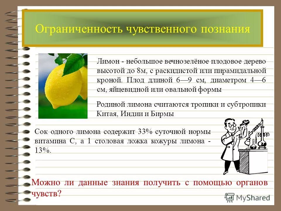 3 форма чувственного познания это