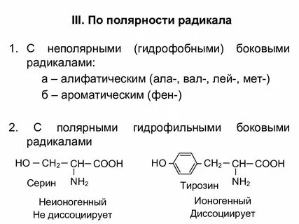Полярность радикалов