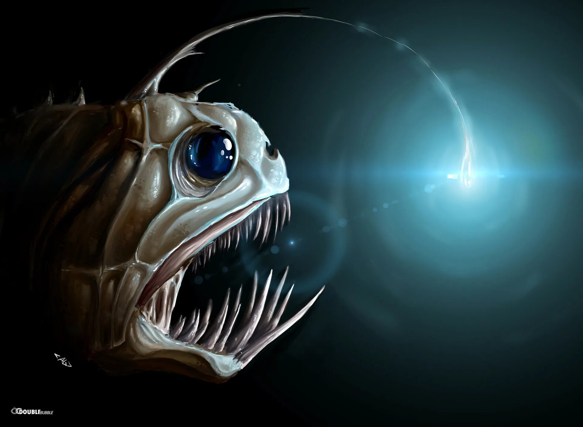 Desolate deep fish