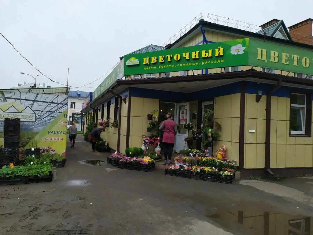 цветочный лазаревское. ярославль улица труфанова 19 лазаревское цветочный. ярославль улица труфанова 19 лазаревское цветочный. цветочный магазин в лазаревское победа. ярославль улица труфанова 19 лазаревское цветочный.