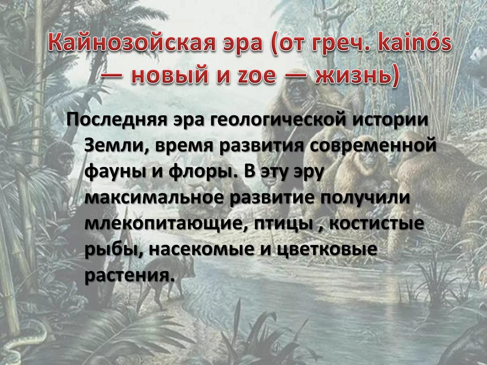 Кайнозойская геологическая эра. Презентация на тему Кайнозойская Эра. Кайнозой климат. Кайнозойская Эра презентация по биологии. Флора кайнозойской эры.