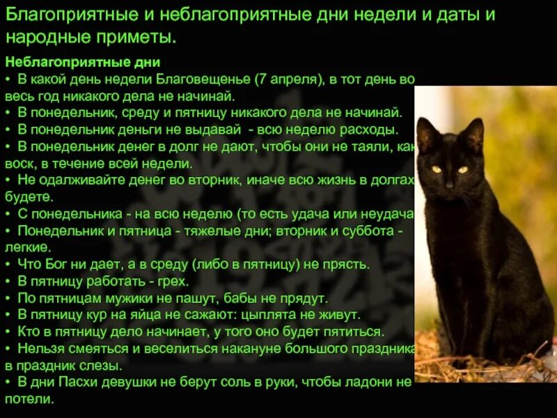 В какой день устраиваться на работу приметы. Приметы на пятницу. Приметы недели. В какой день недели лучше устраиваться на работу приметы. Приметы на субботу.