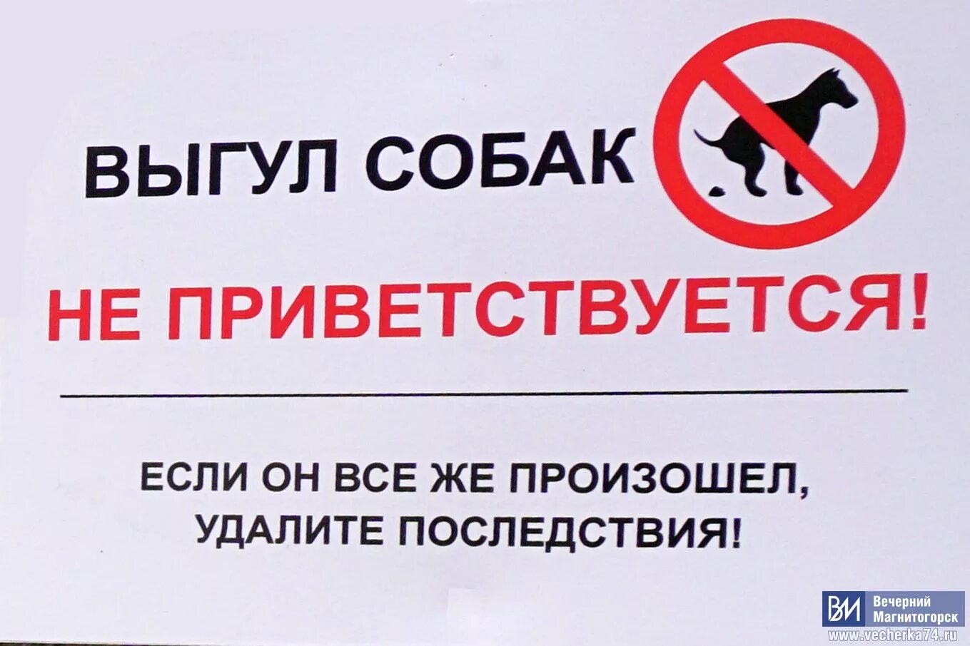 Распитие спиртных напитков в подъезде. Фз о распитии спиртных напитков в общественных. Распитие спиртных напитков в подъезде. Распитие спиртных напитков в подъезде. Распитие спиртных напитков в подъезде.