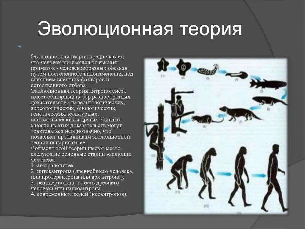 Составляющие эволюции. Теория дарвина о эволюции человека. эволюционная концепция возникновения человека. эволюционная теория происхождения человека. теория дарвина о происхождении человека от обезьян.