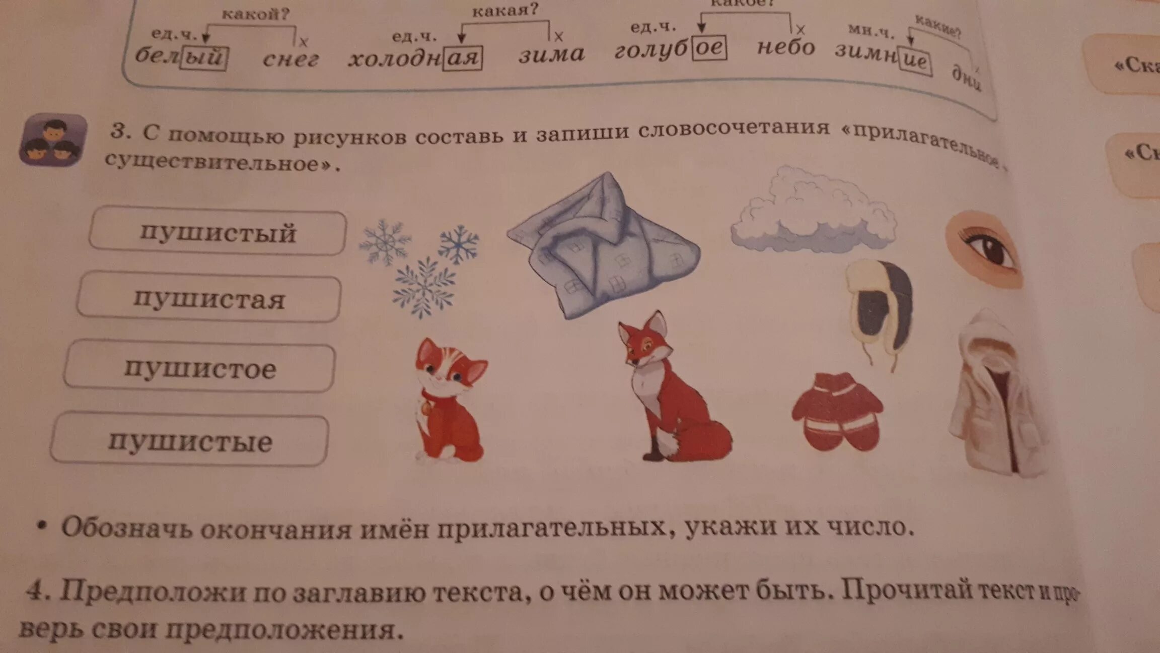 Составь с помощью рисунков. По картинкам составь словосочетания с прилагательными. по данным картинкам составь и запиши словосочетания используй. составьте и запишите свои словосочетания к иллюстрации 5 класс. пушистая укажи число.