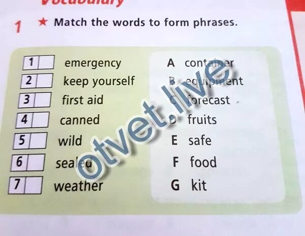 Match the words to form phrases light. Match the Words to form phrases. Match the Words to form phrases 6 класс. Match the to form phrases. Module 1 Match the Words to form phrases.
