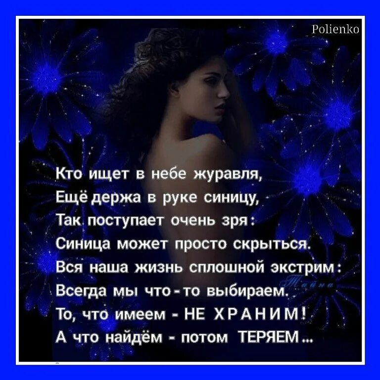 Выражение журавль в руках. Лучше иметь синицу в руках чем журавля в небе. лучше синица в руках чем. лучше синица в небе чем. лучше в руках чем журавль в небе.