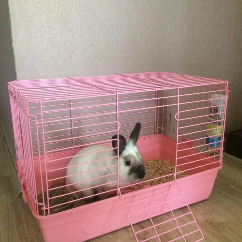 клетка для кроликов. домашние кролики декоративные клетки. клетка для домашнего кролика. вольеры для кроликов декоративных. декоративные кроликив клеьук.