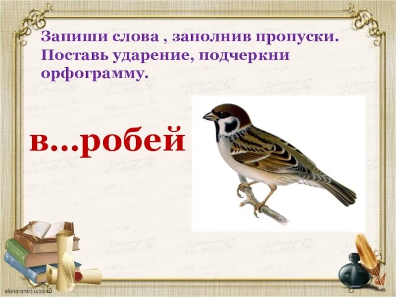 Воробей орфограмма. Орфограмма в слове Воробей подчеркнуть. Орфограмма в слове Воробей. Воробей - воробьи орфограмма. Воробей воробьи 2 класс русский язык