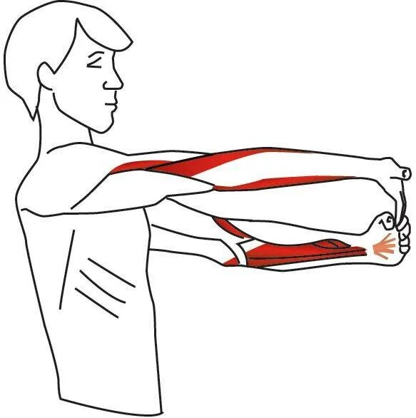 Боль в руке при поднятии и отведении. Растяжка надостной мышцы. Растяжка надостной мышцы плеча. Растяжка мышц локтевого сустава. Упражнения на растяжку мышц рук.