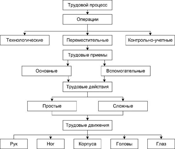 Установите последовательность процессов изображенных на схеме