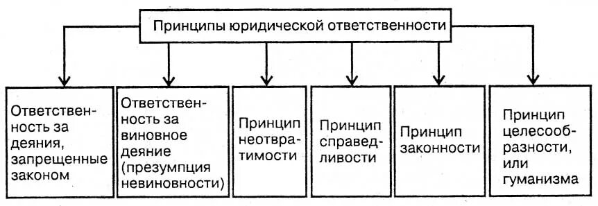 Принцип ответственности предполагает. Цели юридической ответственности схема. функции юридической ответственности схема. принципы юридической ответственности схема. цели и функции юридической ответственности схемы.