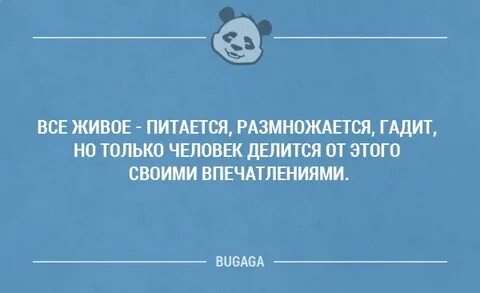 Нелепое выражение