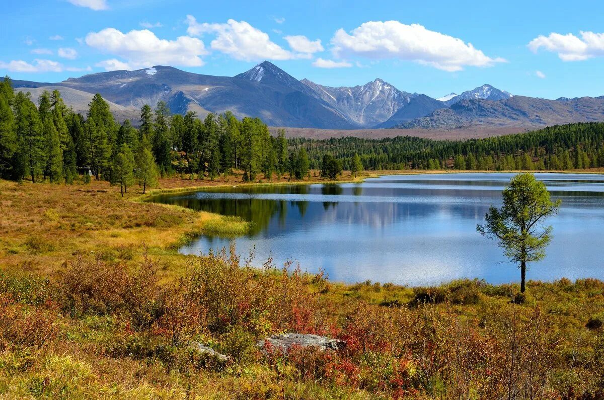 Озеро Киделю. Улаганские озера горный Алтай. Алтайский край. Алтайские горы Улаган.