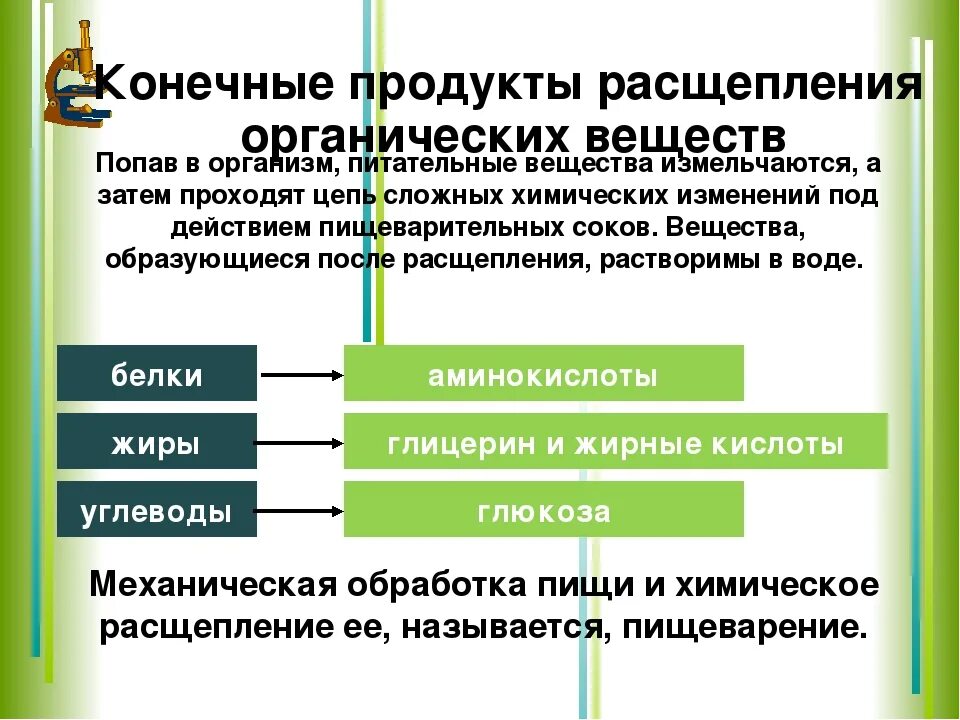 Конечные продукты распада белков жиров и углеводов. Конечные продукты расщепления белков. Расщепление органических веществ. Конечные продукты распада жиров. Конечные продукты белкового