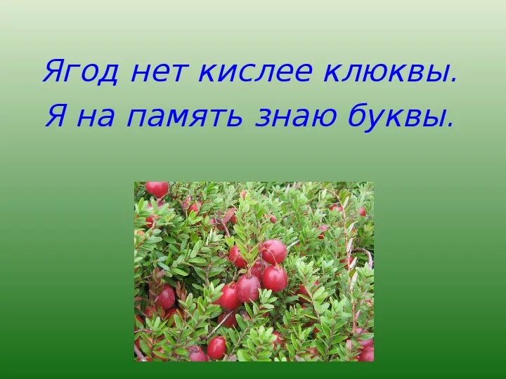 Ягодка предложение. Ягод нет кислее клюквы я на память знаю буквы. Ягод нет кислее клюквы. Предложение про ягоды. Ягода на букву я.