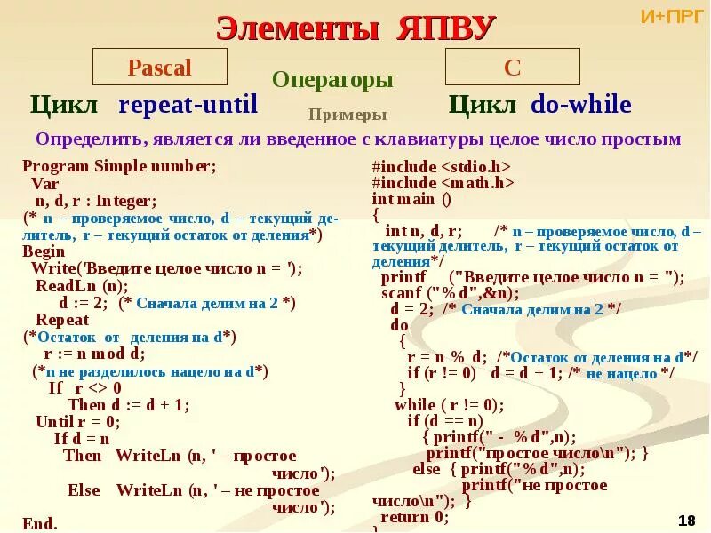 Операция деление паскаль. Цикл while Pascal. Оператор цикла while в Паскале. Программа с while. Цикл repeat until в Паскале.