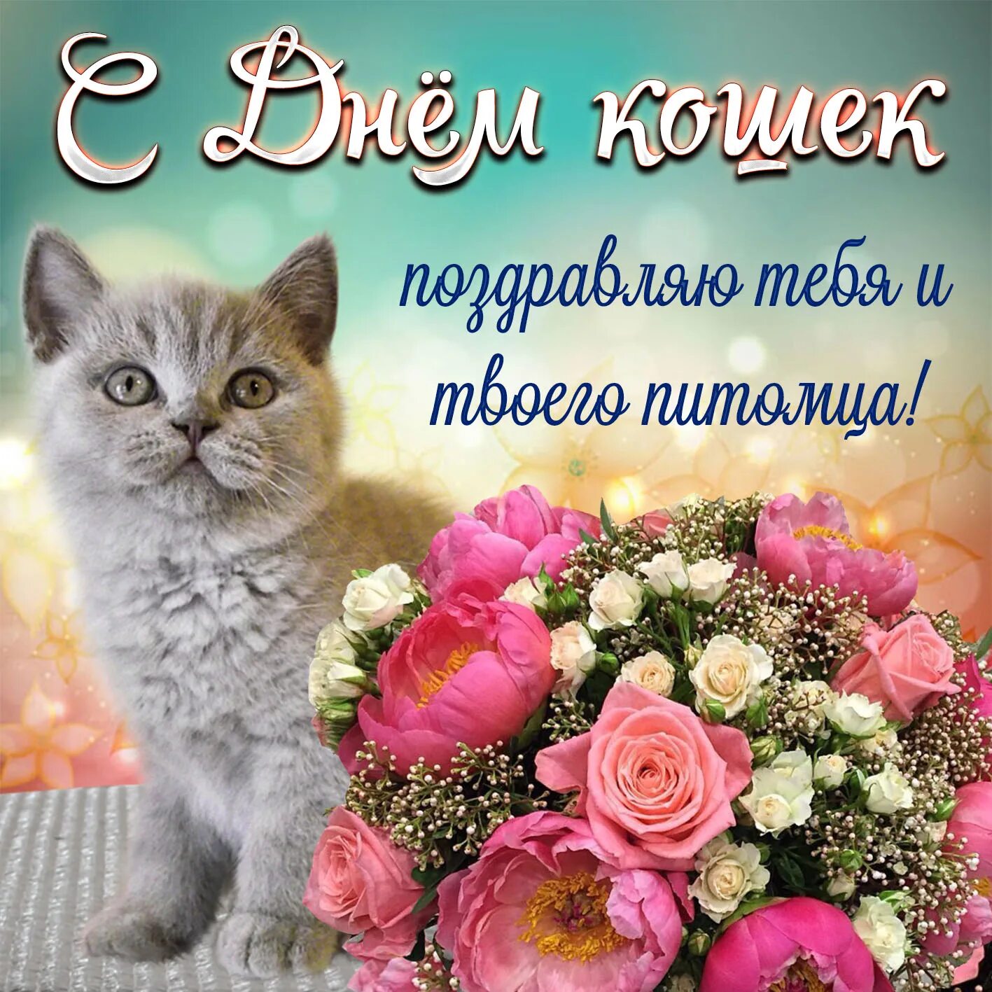 Всемирный день кошек поздравления. День кошек. Поздравление с днем кошек. День кошек открытки. Всемирный день.
