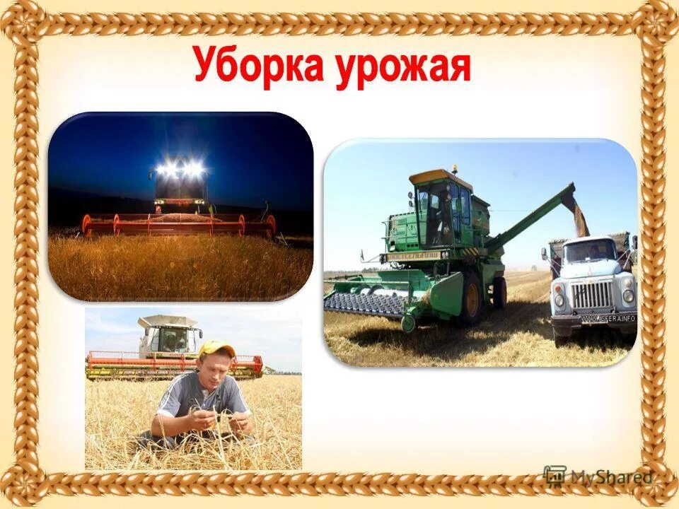 кроссворды на семейную тему. добыча хлебороба кроссворд. кроссворд по истории 5 класс древний египет с ответами. выращивание хлеба. иллюстрация хлеборобов.