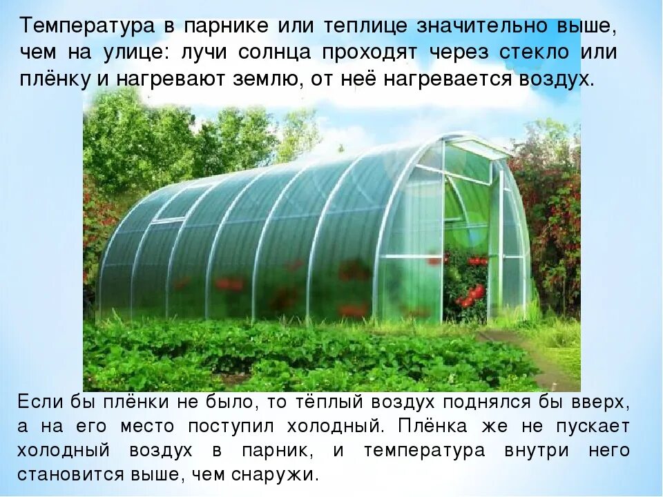 Парник при какой температуре закрывать. Парник презентация. презентация теплицы. парниковый эффект теплица. умная теплица.