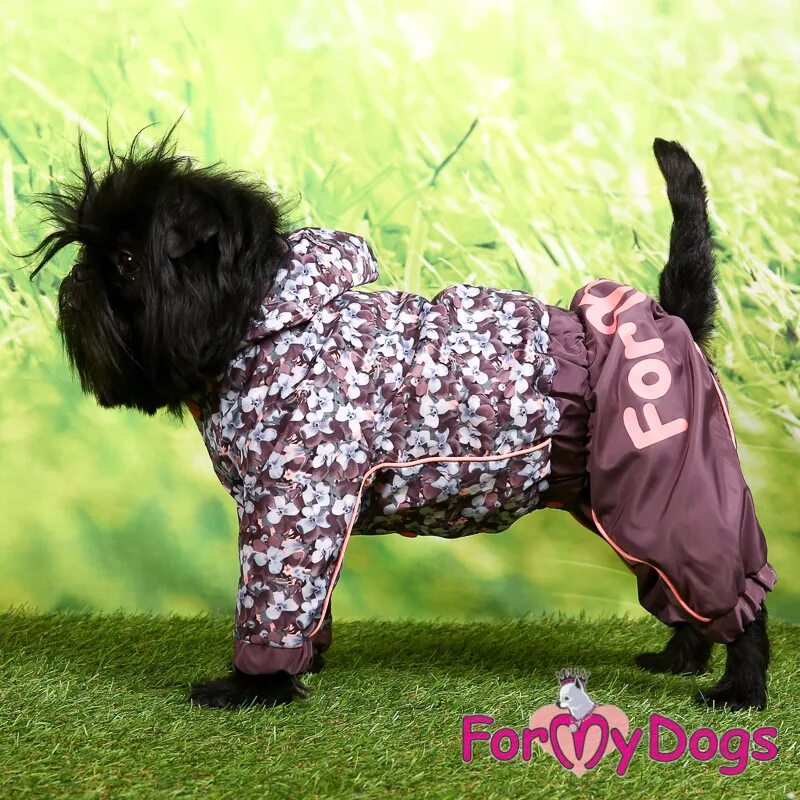 Одежда для собак девочек. Дождевик для собаки девочки. Дождевик для собак formydogs. Rungo дождевик для собак. 4 лапы комбинезон rungo.