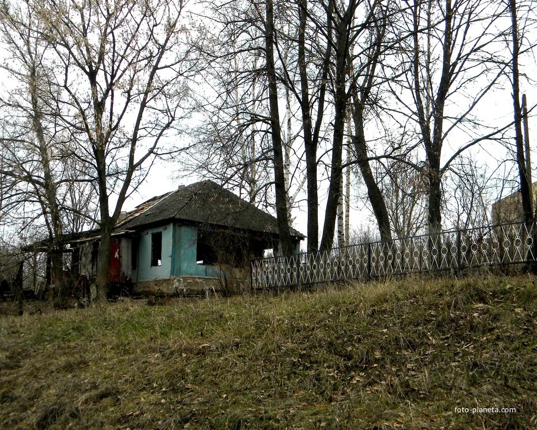 Село прилепы. Прилепы белгородская область. деревня прилепы.