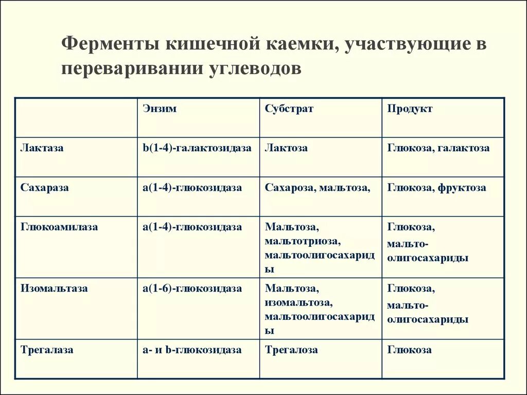 Переваривание углеводов таблица. Ферменты пищеварительной системы человека 8 класс. Пищеварительные ферменты таблица. Ферменты переваривания углеводов. Ферменты желудка таблица