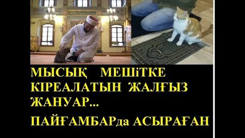 Айрин Феррари секс видеосы