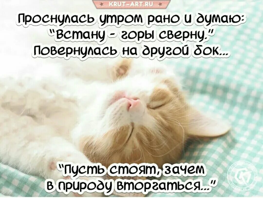 Повторяю каждый день в надежде поспать. Проснулись доброе утро. Проснулись потянулись УЛЫБНУЛИСЬ С добрым. Я проснулась с добрым утром. Проснулись с добрым утром.