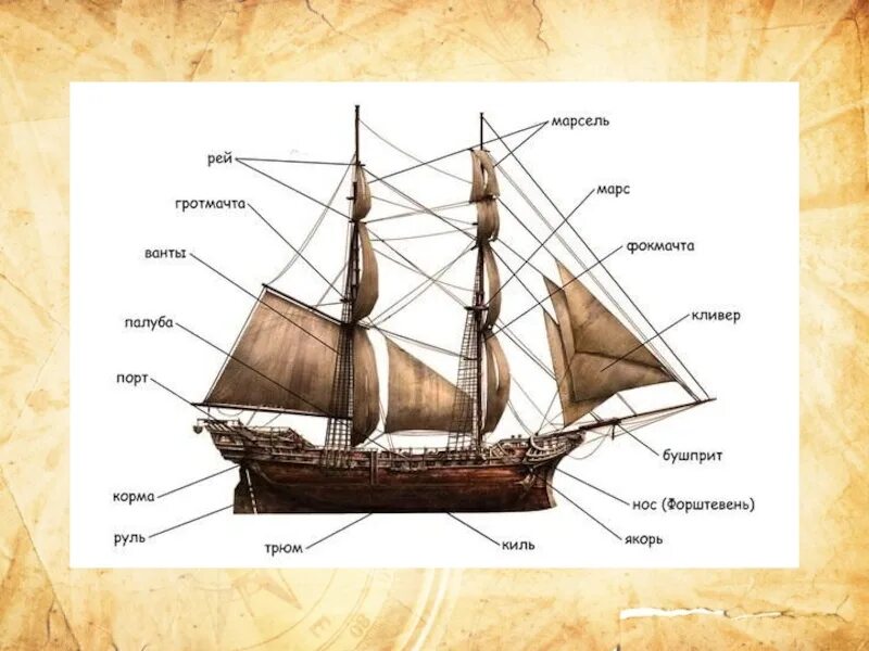 Каравелла строение корабля. Бригантина корабль строение. Строение парусного судна. Части корабля названия. Где находится фрегат