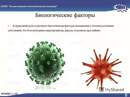 Биологические факторы 2.4 3