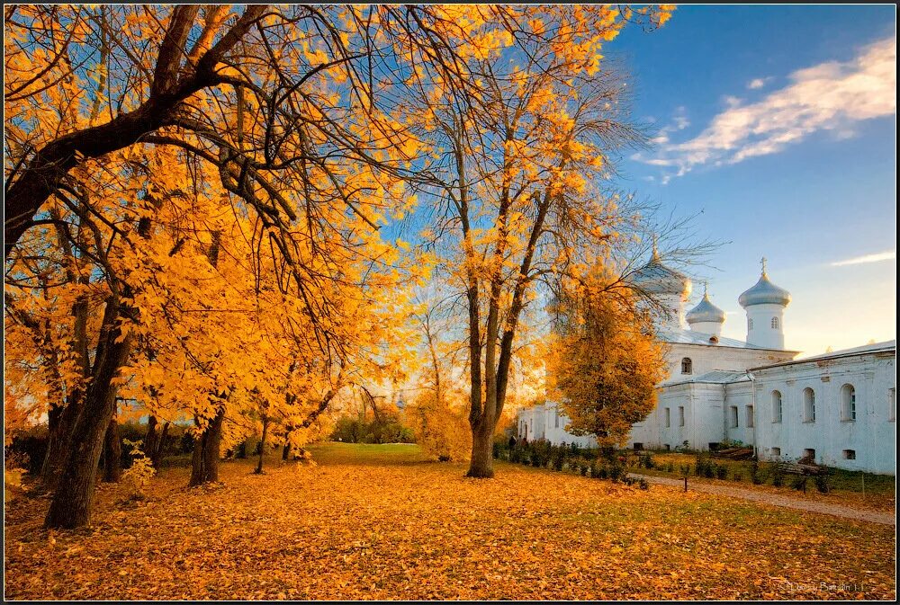 Осень сайт великого новгорода. Юрьев монастырь Новгород осень. Великий Новгород Юрьев монастырь поздняя осень. Осенний Великий Новгород. Великий Новгород Кремль осенний.