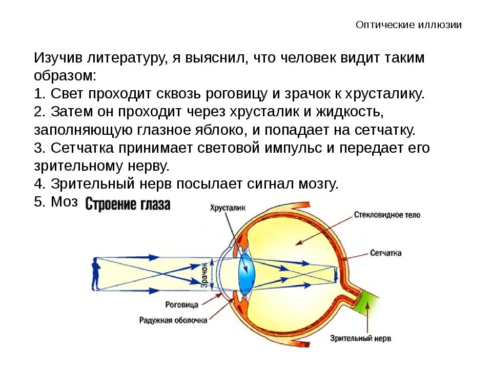 Воздух через глаз. Схема прохождения света через оптическую систему глаза. Путьтсвета в глазном яблоке. Путь прохождения луча света в глазном яблоке. Зрительный анализатор путь прохождения сигнала.