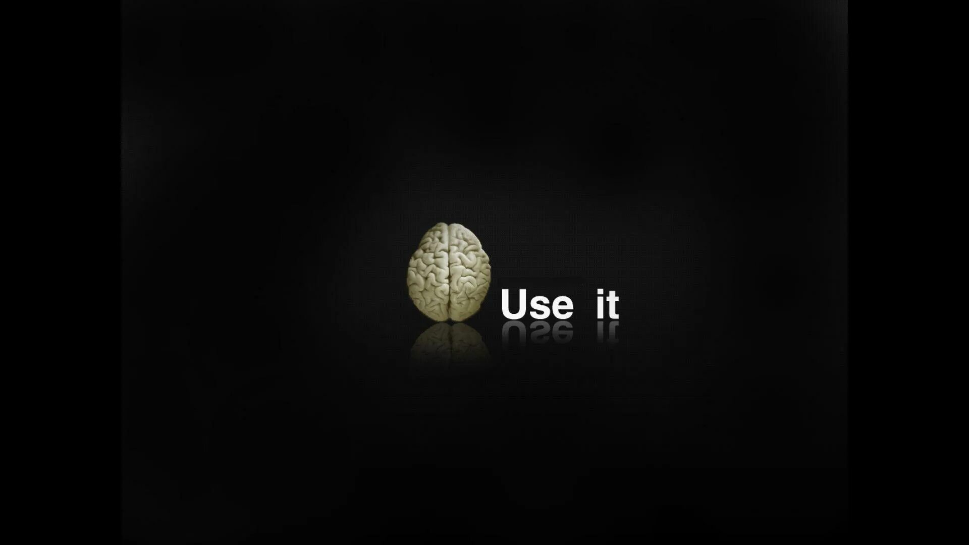 Use the brain. Use the brain