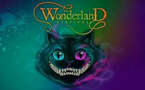 Wonder time