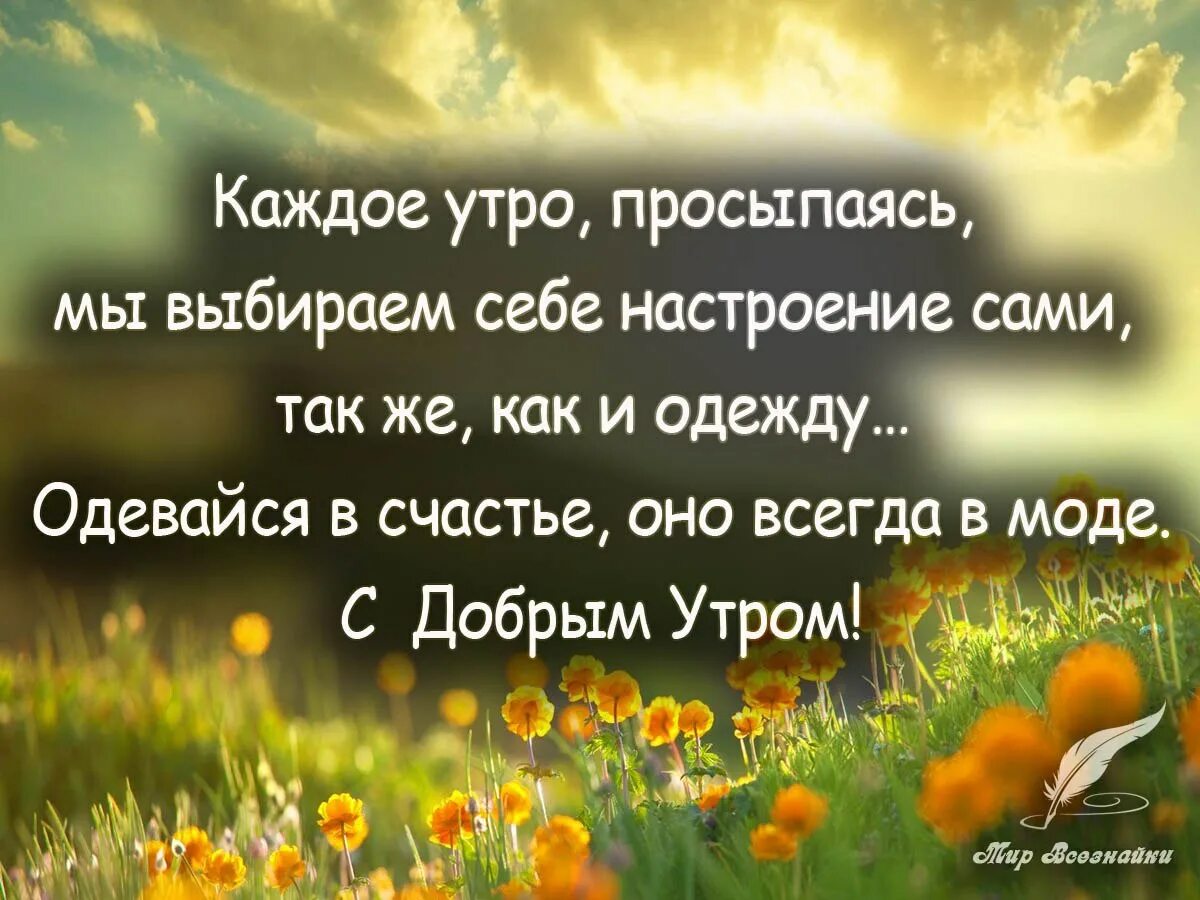 Доброе утро и хорошего дня мудрые картинки. Позитивные фразы. Позитивные высказывания. Умные фразы. Позитивные высказывания на день.