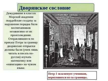 К какой сфере общественной жизни относится сословие