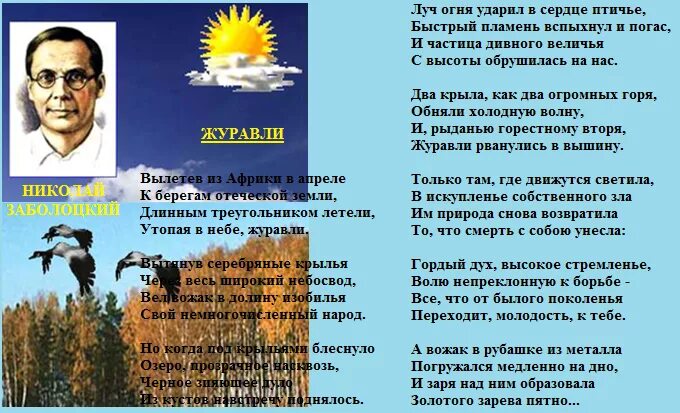 Анализ стихотворения журавли 5 класс. Стихотворение Журавли Заболоцкого. Журавли стихотворение Заболотский.