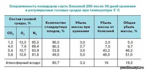 При какой температуре хранить помидоры свежие